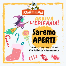 Auguri! Arriva la Befana