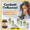 L'Oasi delle Api - Sermoneta - Combatti l'influenza