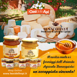 Miele e Formaggio: un’accoppiata vincente!