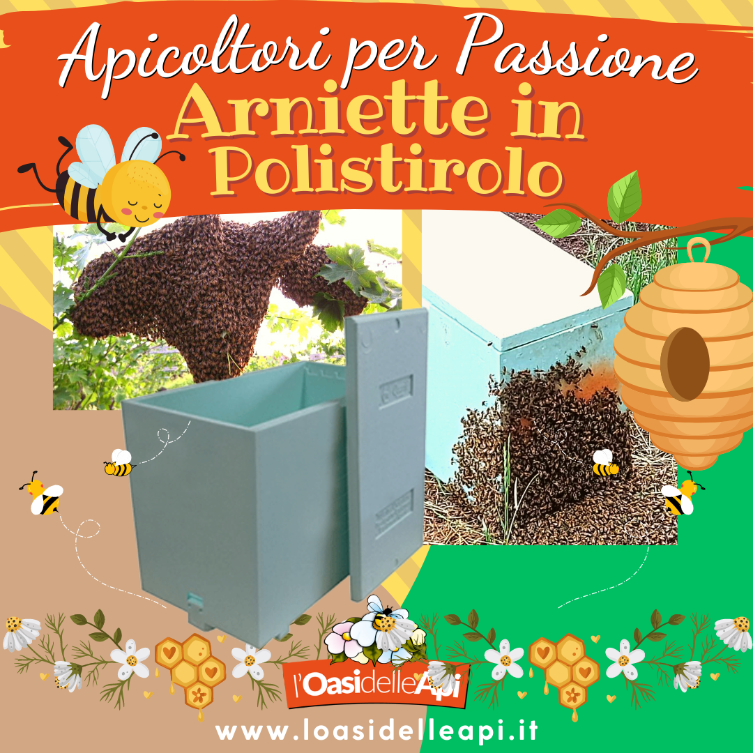 L'Oasi delle Api - Sermoneta - Apicoltori per Passione - Arniette in polistirolo