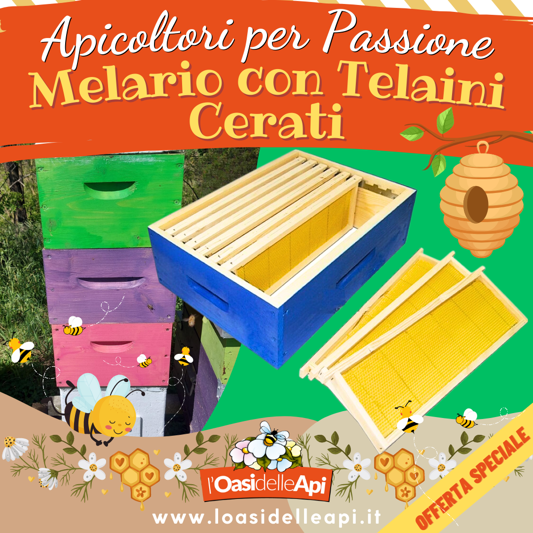 L'Oasi delle Api - Sermoneta - Apicoltori per passioni - Melario con Telaini Cerati - Offerta