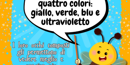 L'Oasi delle Api - Sermoneta - E Tu Lo Sai - Come vedono i Colori
