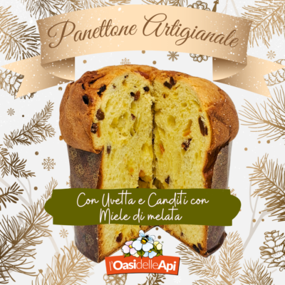 L'Oasi delle Api - Sermoneta - Panettone Artigianale con Uvetta e Canditi con miele di melata - tagliato