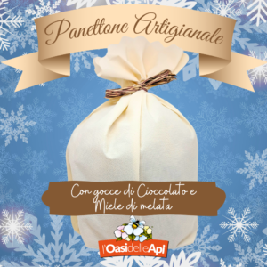 L'Oasi delle Api - Sermoneta - Panettone Artigianale con gocce di Cioccolato e Miele di melata - confezione