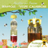 trappole-insetti-vespe-calabroni-oasi-delle-api-miele-italiano-sermoneta-latina