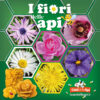 i-fiori-delle-api-candele-cera-sermoneta
