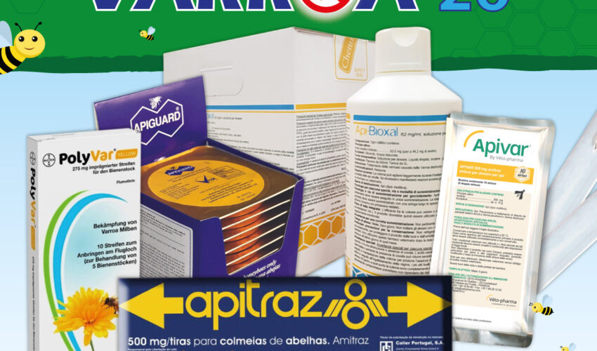 campagna-varroa-2026-cura-delle-api-miele-italiano-pappa-reale-latina-sermoneta